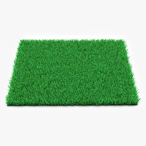 3d model kentucky bluegrass grass