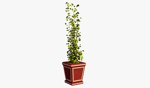 Red Plant Pot
