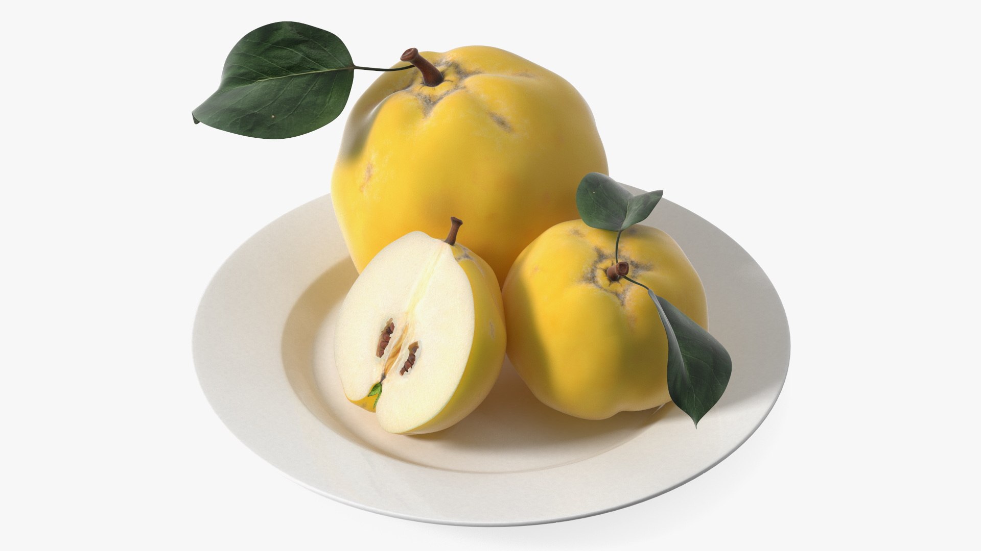 Quince on Plate 3D model preview