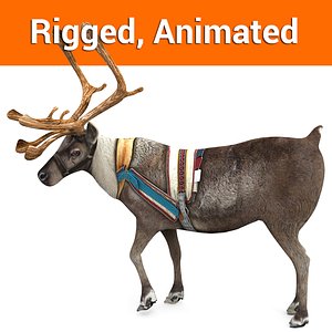 reindeer rigged deer animation 3D model