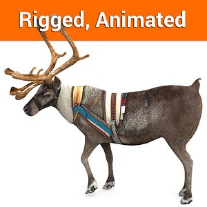 Reindeer rigged animated