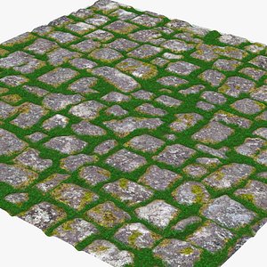 Alley Pavement Sample Pattern