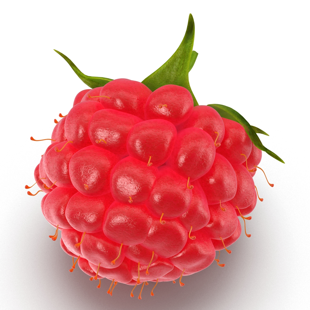 ripe raspberry modeled 3d model
