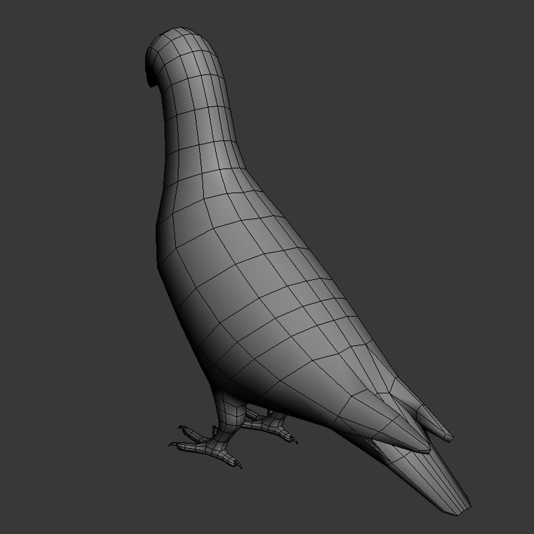 city birds 3ds https://p.turbosquid.com/ts-thumb/Rw/mfBbz6/4yiOAPx5/pi9/jpg/1353419835/1920x1080/fit_q87/a2f9ccb8d893832010327d297002596c0ea29102/pi9.jpg