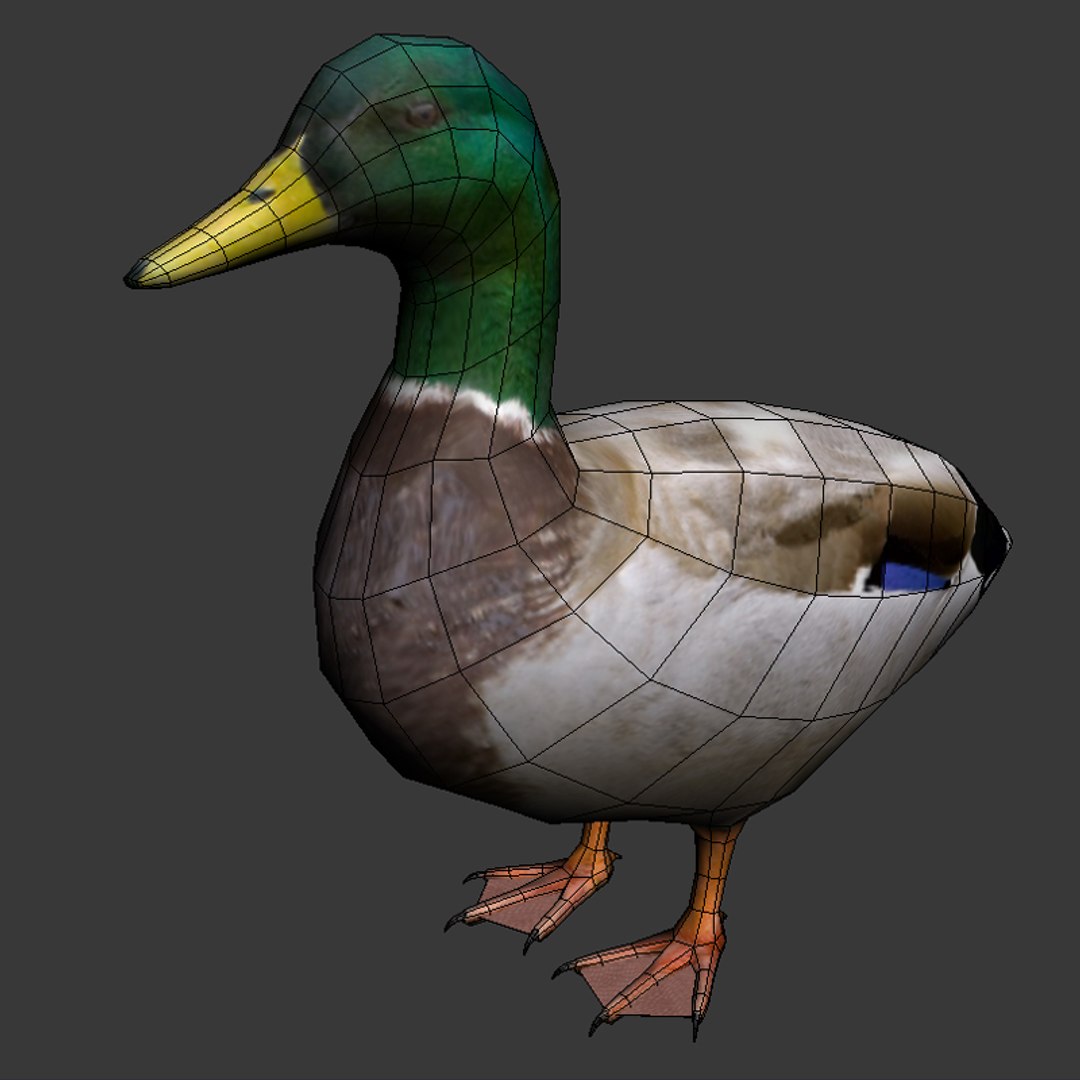 city birds 3ds https://p.turbosquid.com/ts-thumb/Rw/mfBbz6/HOrrpK6K/d5/jpg/1353419835/1920x1080/fit_q87/ce5900f7b4bb1764dbcc6c8369fea6697f9e24d4/d5.jpg