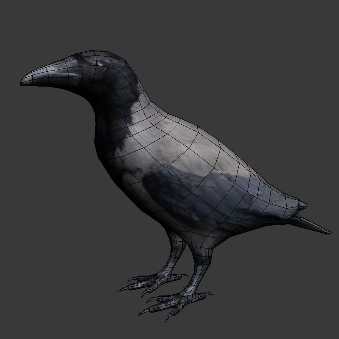 city birds 3ds https://p.turbosquid.com/ts-thumb/Rw/mfBbz6/YsgB8fwf/crow3/jpg/1353419835/1920x1080/fit_q87/9d9f76b740a7310b39e46b6d2958081512c0d32b/crow3.jpg