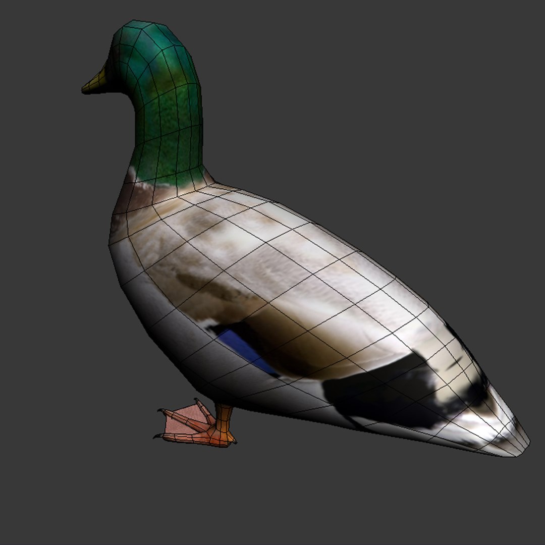 city birds 3ds https://p.turbosquid.com/ts-thumb/Rw/mfBbz6/fBkhv22K/d7/jpg/1353419835/1920x1080/fit_q87/d331775135b380d9206679ba97133d90a4767eb1/d7.jpg