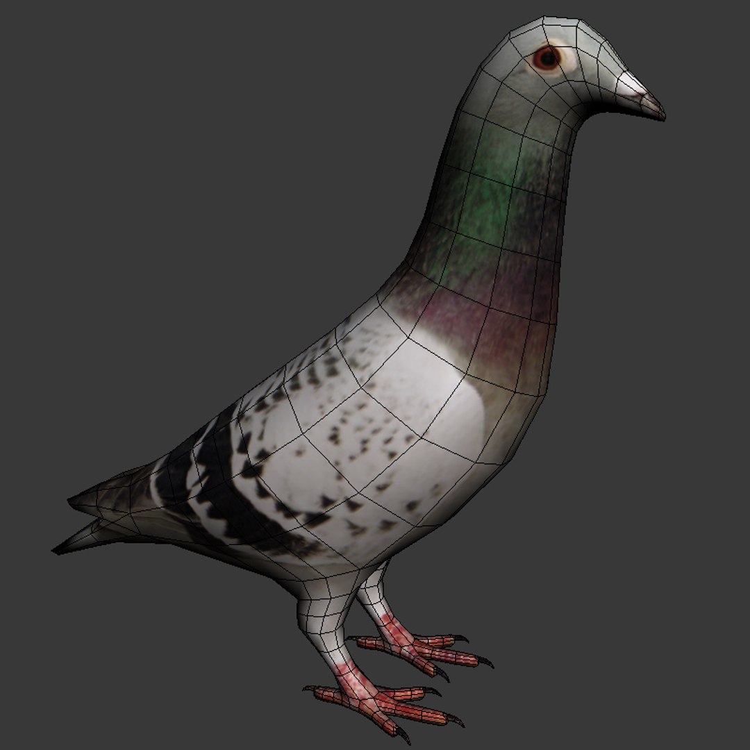 city birds 3ds https://p.turbosquid.com/ts-thumb/Rw/mfBbz6/gQAEHOKh/pi6/jpg/1353419835/1920x1080/fit_q87/d32a5e9c346af5bd753f2efeaee4708caa0433b5/pi6.jpg