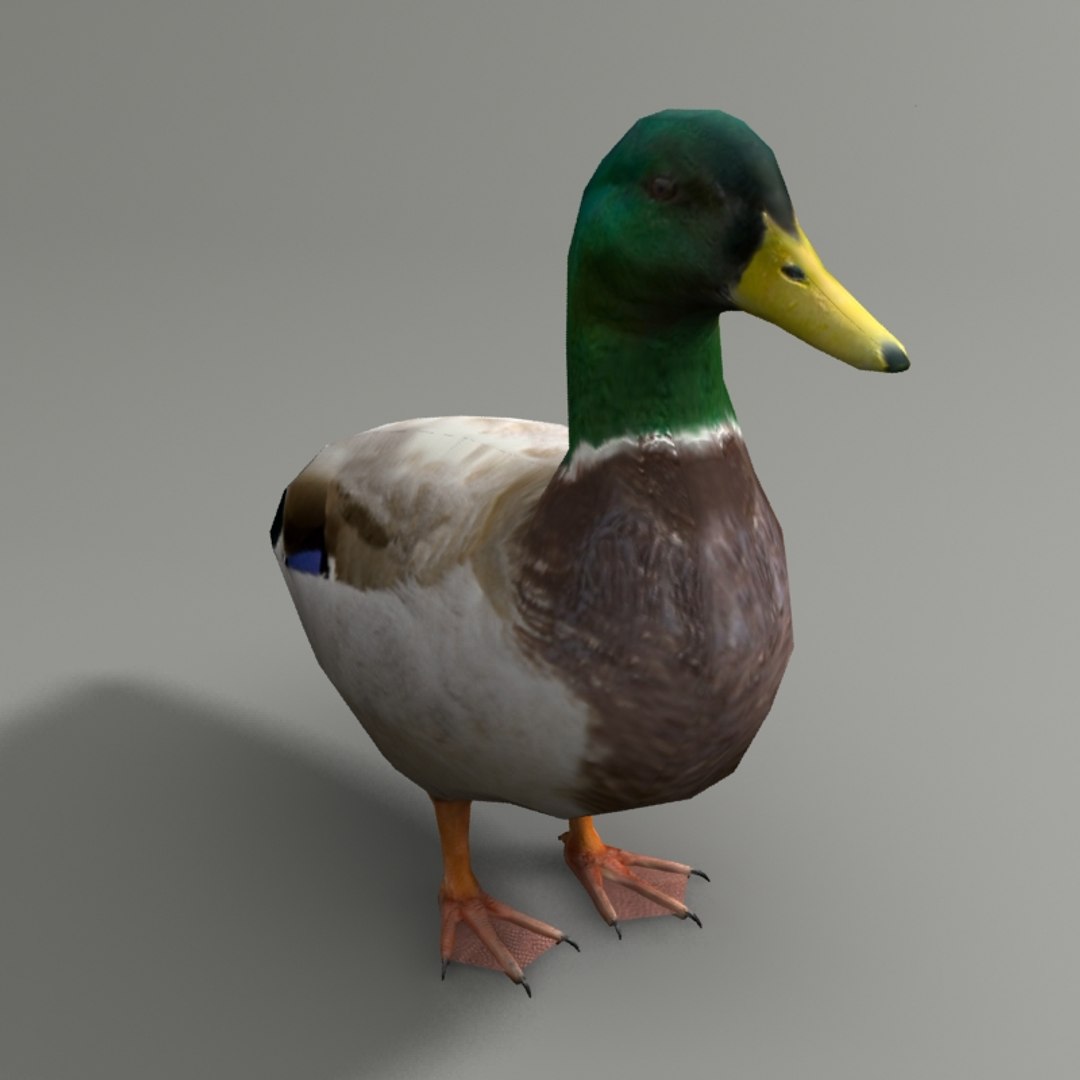 city birds 3ds https://p.turbosquid.com/ts-thumb/Rw/mfBbz6/yHPYbrCe/d4/jpg/1353419835/1920x1080/fit_q87/5d153e342b2a6dcf5d1f4e9fe0f752968303023b/d4.jpg