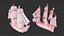 Galleon Ship