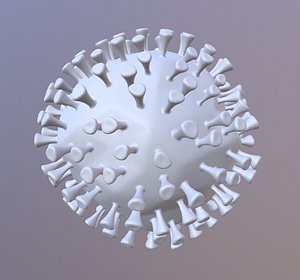 novel corona virus transmission model