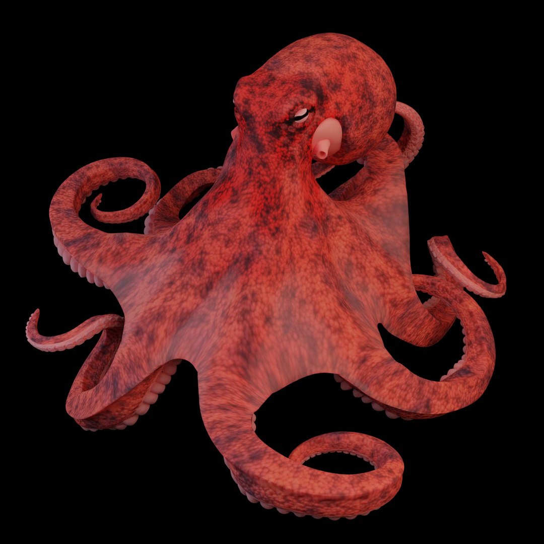 3D Giant Pacific Octopus Model - TurboSquid 1983823