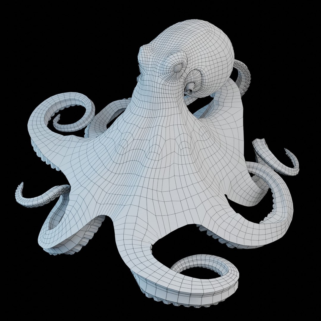 3D Giant Pacific Octopus Model - TurboSquid 1983823