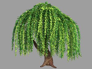 100 acres of forest - willow 15