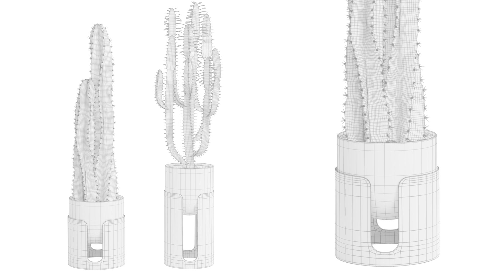 3D Cactus Pack 04 https://p.turbosquid.com/ts-thumb/Rx/5L7PXh/0T/preview04_ts_0000/jpg/1720324554/1920x1080/fit_q87/19418c166574388baa5ce156f64c04ad2782e4e8/preview04_ts_0000.jpg