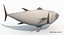 tuna fish animation 3D