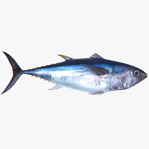 Tuna Fish (Animated)