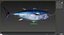 tuna fish animation 3D