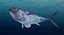 tuna fish animation 3D
