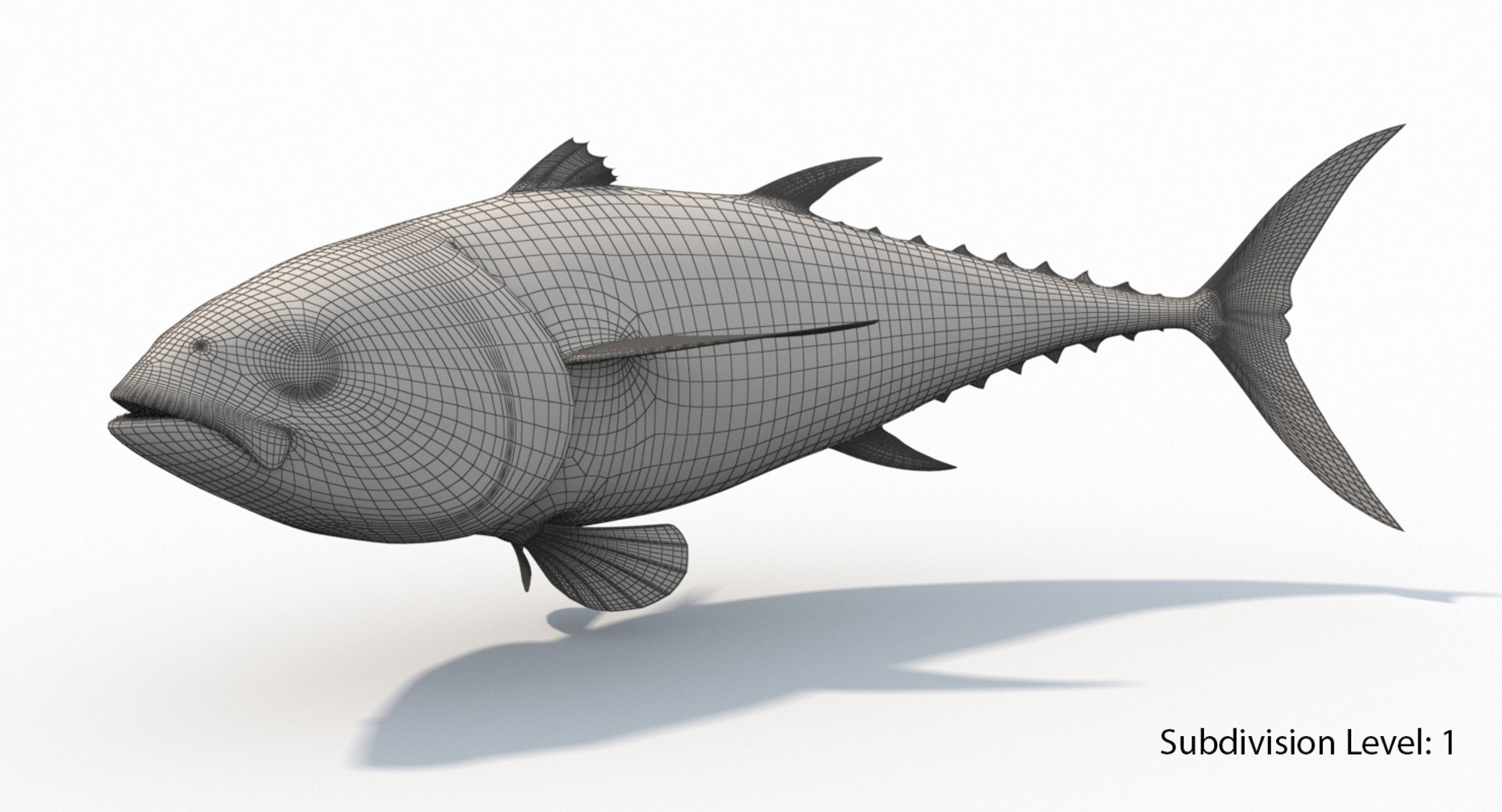 tuna fish animation 3D https://p.turbosquid.com/ts-thumb/Rx/Am3ugE/gZXxbNL8/s2/jpg/1516116994/1920x1080/fit_q87/ded38db9719fbd0fc402adbb4dc9463391fcff8f/s2.jpg