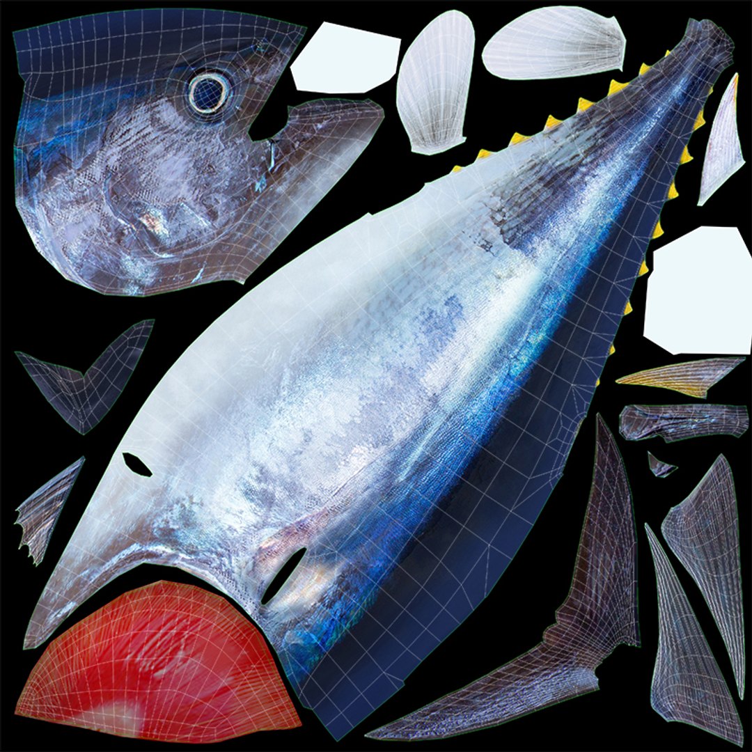 tuna fish animation 3D https://p.turbosquid.com/ts-thumb/Rx/Am3ugE/jCcyttBt/text/jpg/1516116995/1920x1080/fit_q87/e1191e603df98e780e49711bd36238d52b1adf22/text.jpg