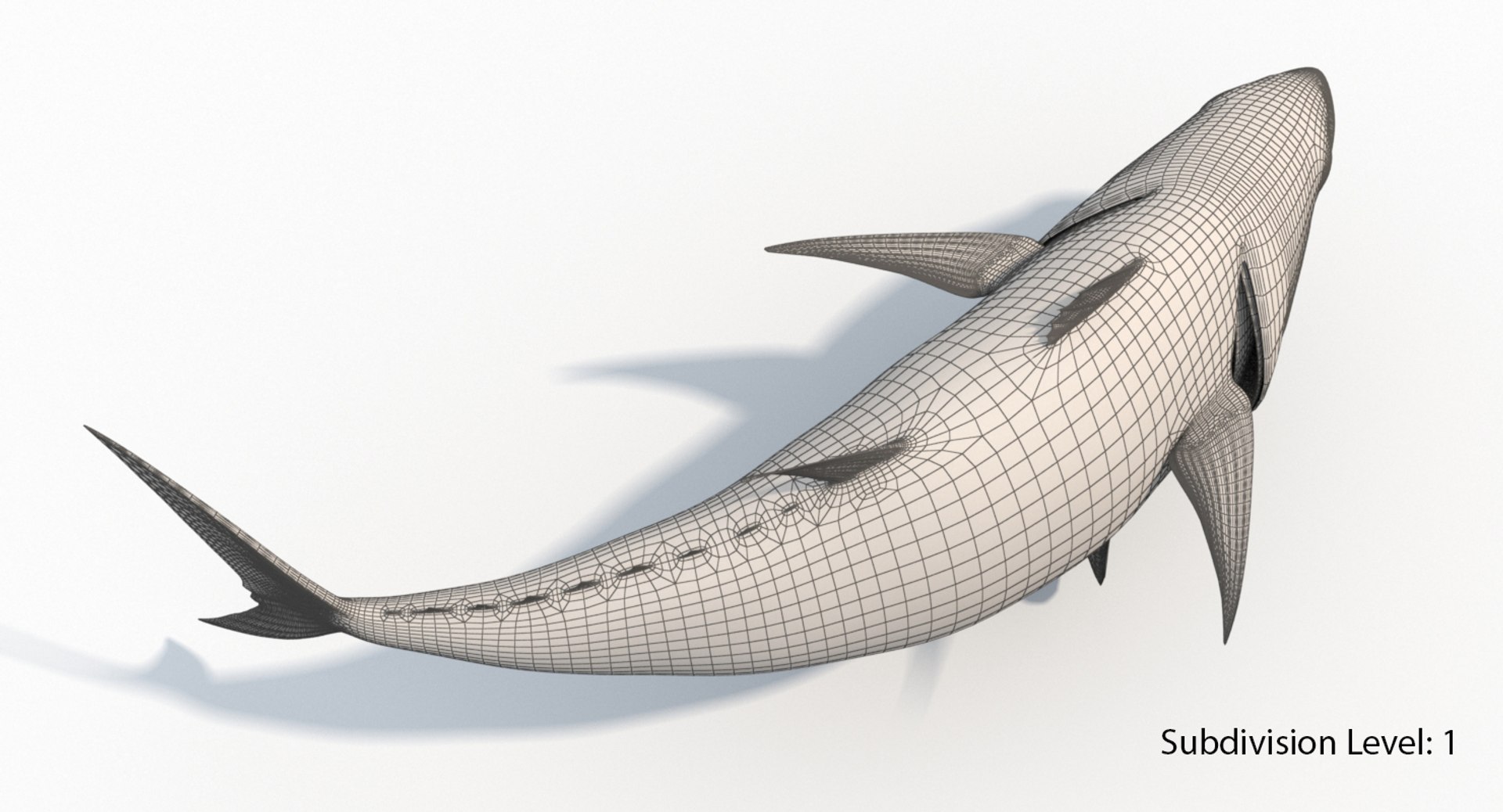 tuna fish animation 3D https://p.turbosquid.com/ts-thumb/Rx/Am3ugE/kE9KuBrr/s6/jpg/1516116994/1920x1080/fit_q87/5ae26b364e1ddb5ec136c468888bd2eeb869b740/s6.jpg