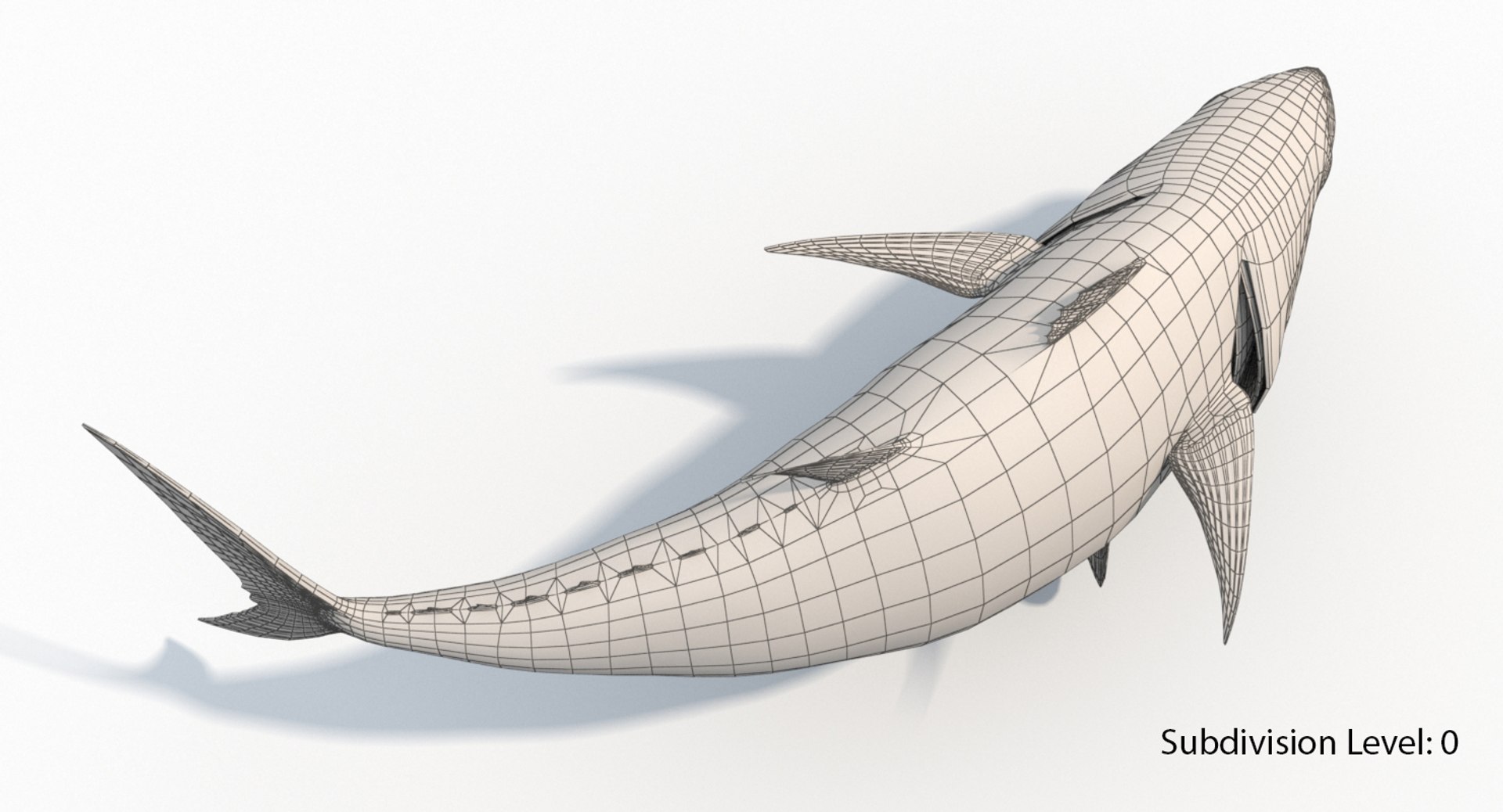 tuna fish animation 3D https://p.turbosquid.com/ts-thumb/Rx/Am3ugE/qk4h2seo/s5/jpg/1516116994/1920x1080/fit_q87/297d8b7c4d1e97914332d084728c13d4a6e9f08f/s5.jpg