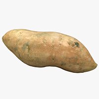 Sweet Potato