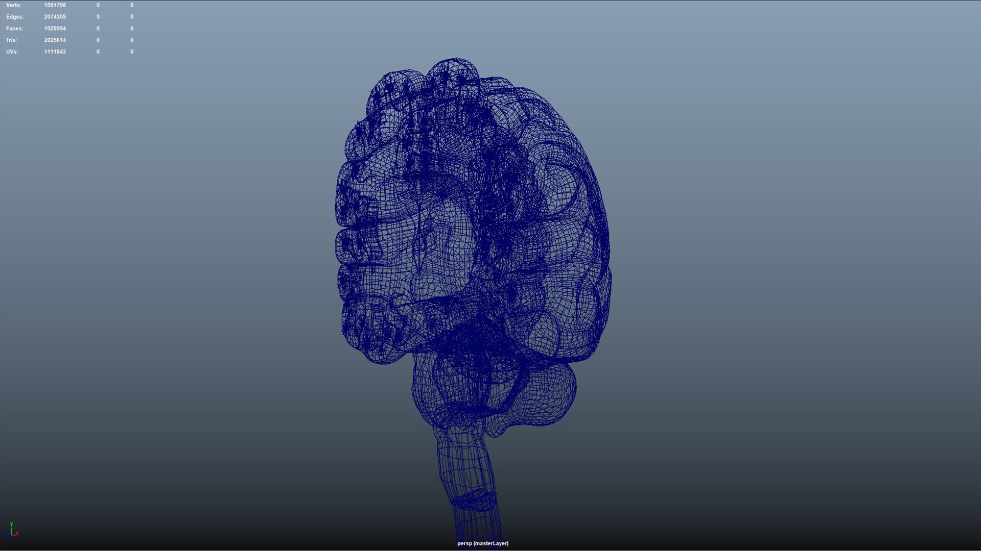 3D Human Brain Cross Section With Neurons - TurboSquid 2190110