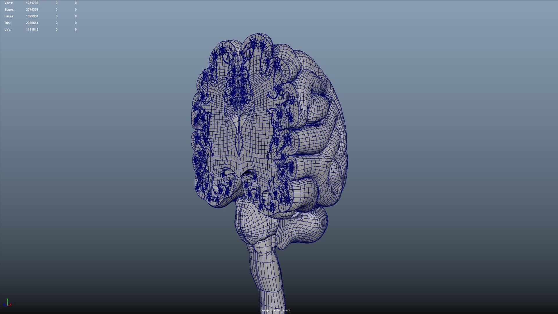 3D Human Brain Cross Section With Neurons - TurboSquid 2190110