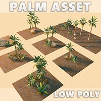 Palm