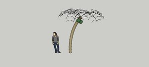 palm tree 3D model