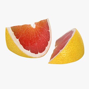 grapefruit slice 3d 3ds