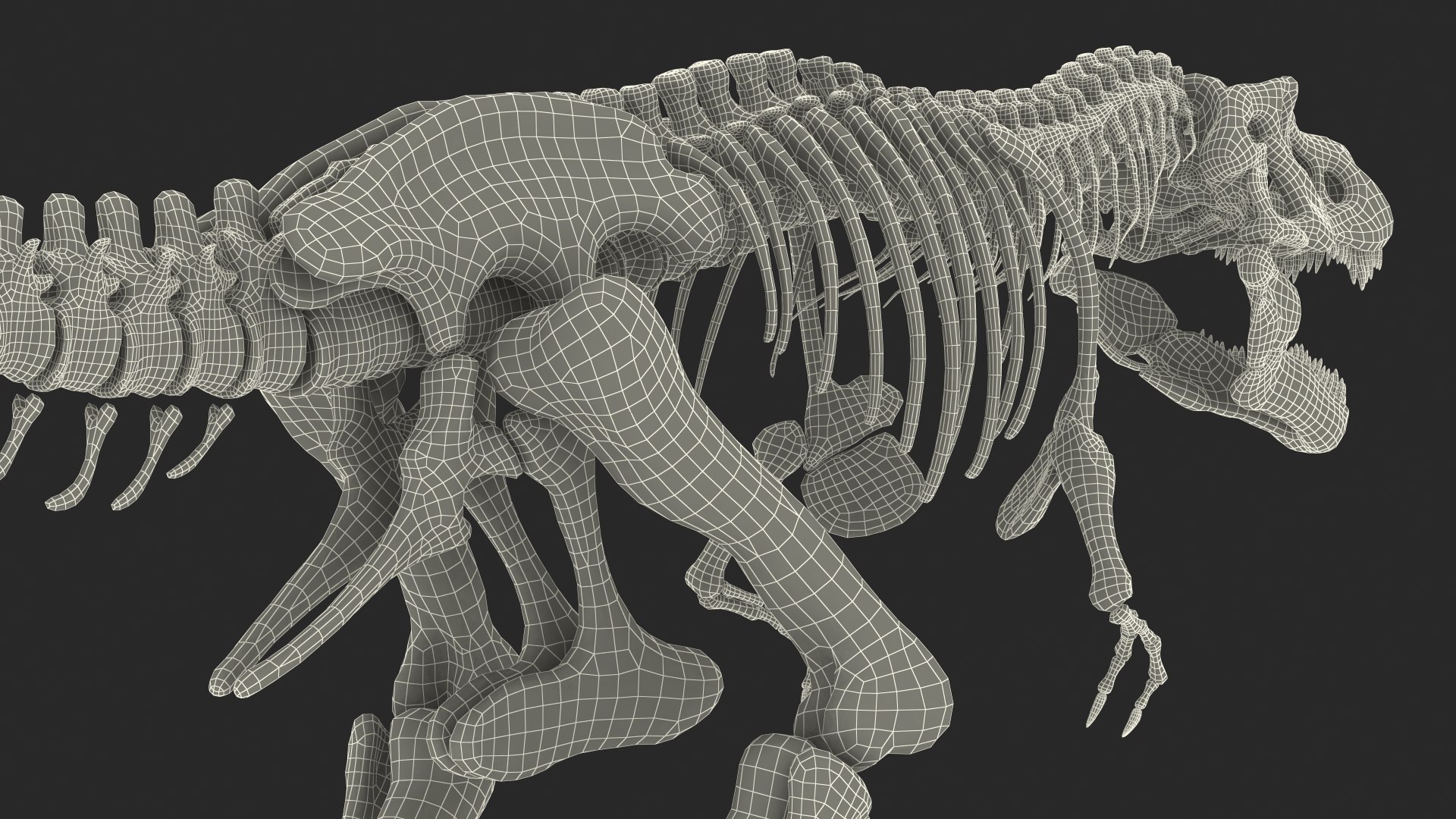 3D Tyrannosaurus Rex Skeleton Animal Skin - TurboSquid 1482360