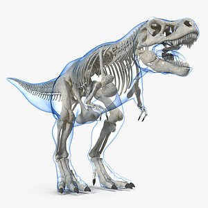 3D tyrannosaurus rex skeleton animal skin