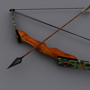 Compound Bow with Arrows