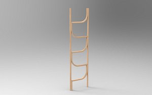 Gigo Home Ladder