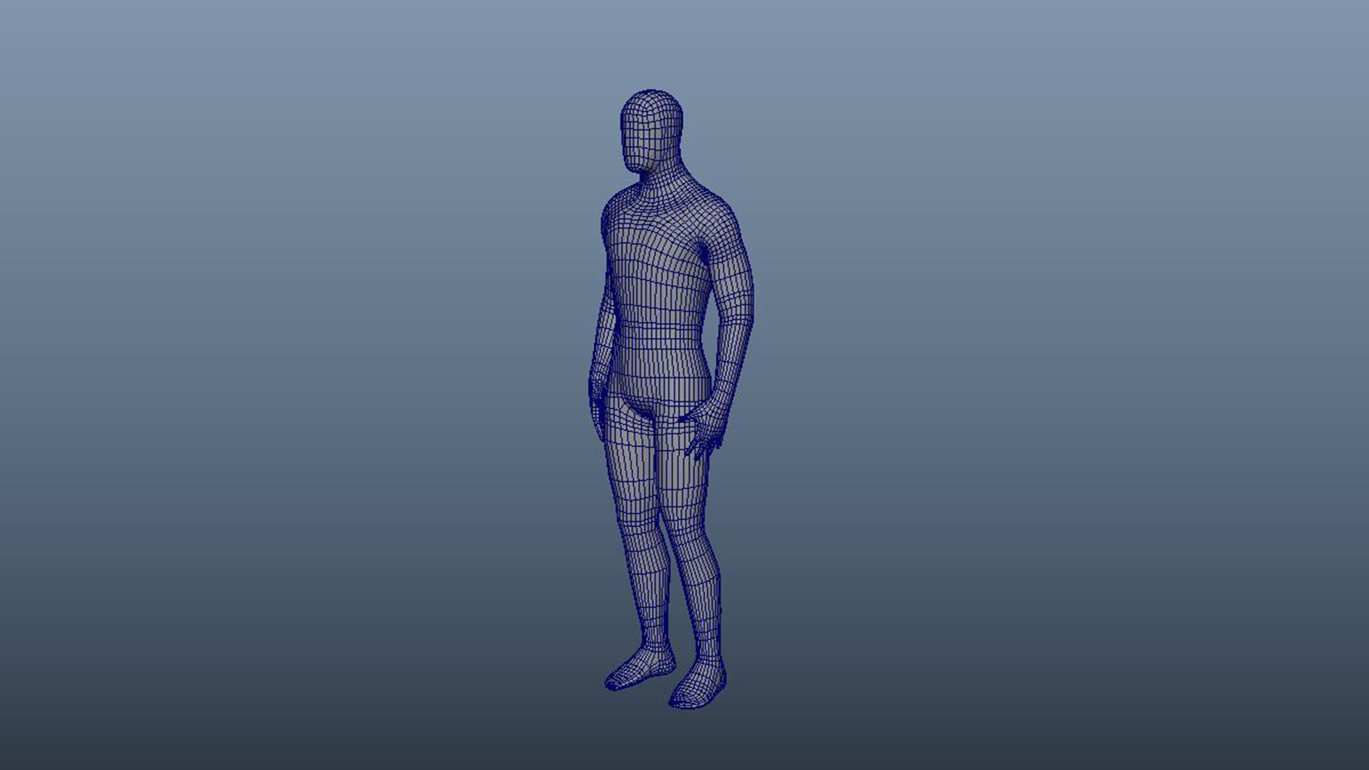 3D Human Body https://p.turbosquid.com/ts-thumb/Rx/o5MsGH/u6/16/jpg/1766409960/1920x1080/fit_q87/681c46e05e7d4b4988b2a4fcbe014c2e493e8819/16.jpg