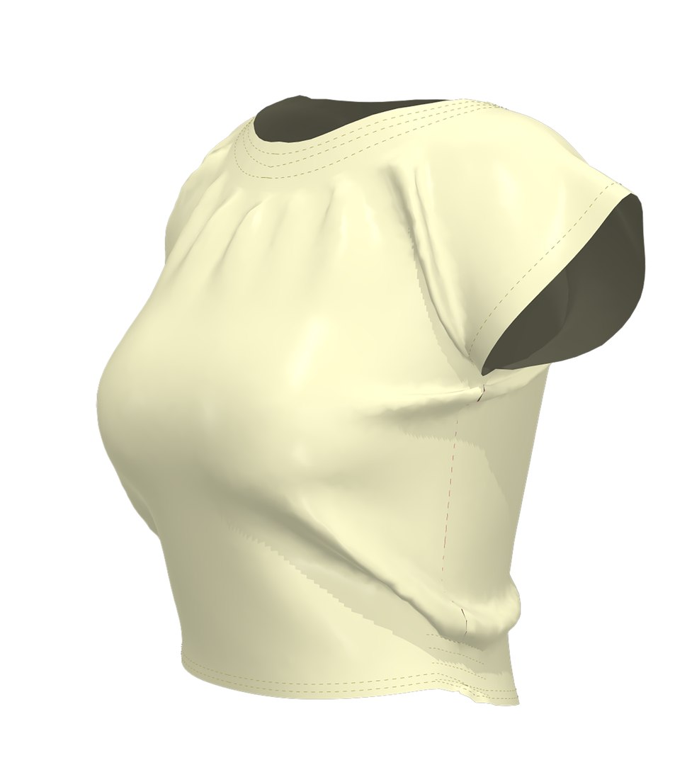 3D blouse https://p.turbosquid.com/ts-thumb/Rx/qtnF1V/41/2/png/1612911756/1920x1080/fit_q87/e3a0c840857d329bc8ef69610f51e359896b184d/2.jpg