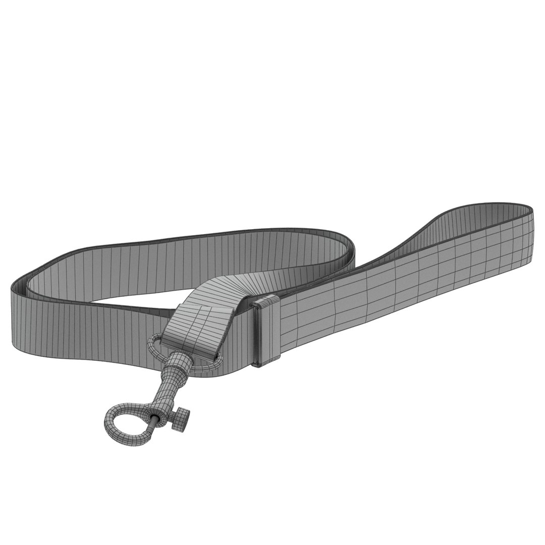 Leash Model - TurboSquid 1501076