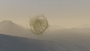 3D desert tumbleweed model