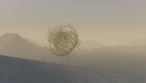 Tumbleweed