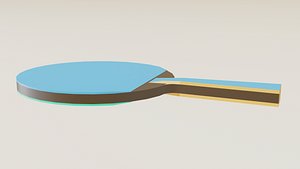 PNG PONG PALET 3D model