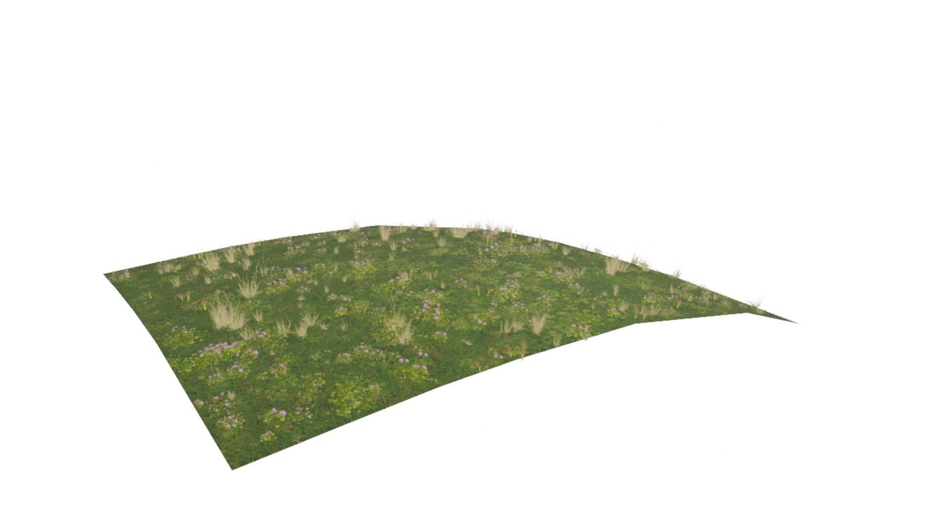 3D model lawn with flowers - TurboSquid 1817790