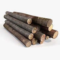 Stack of Logs with Bark