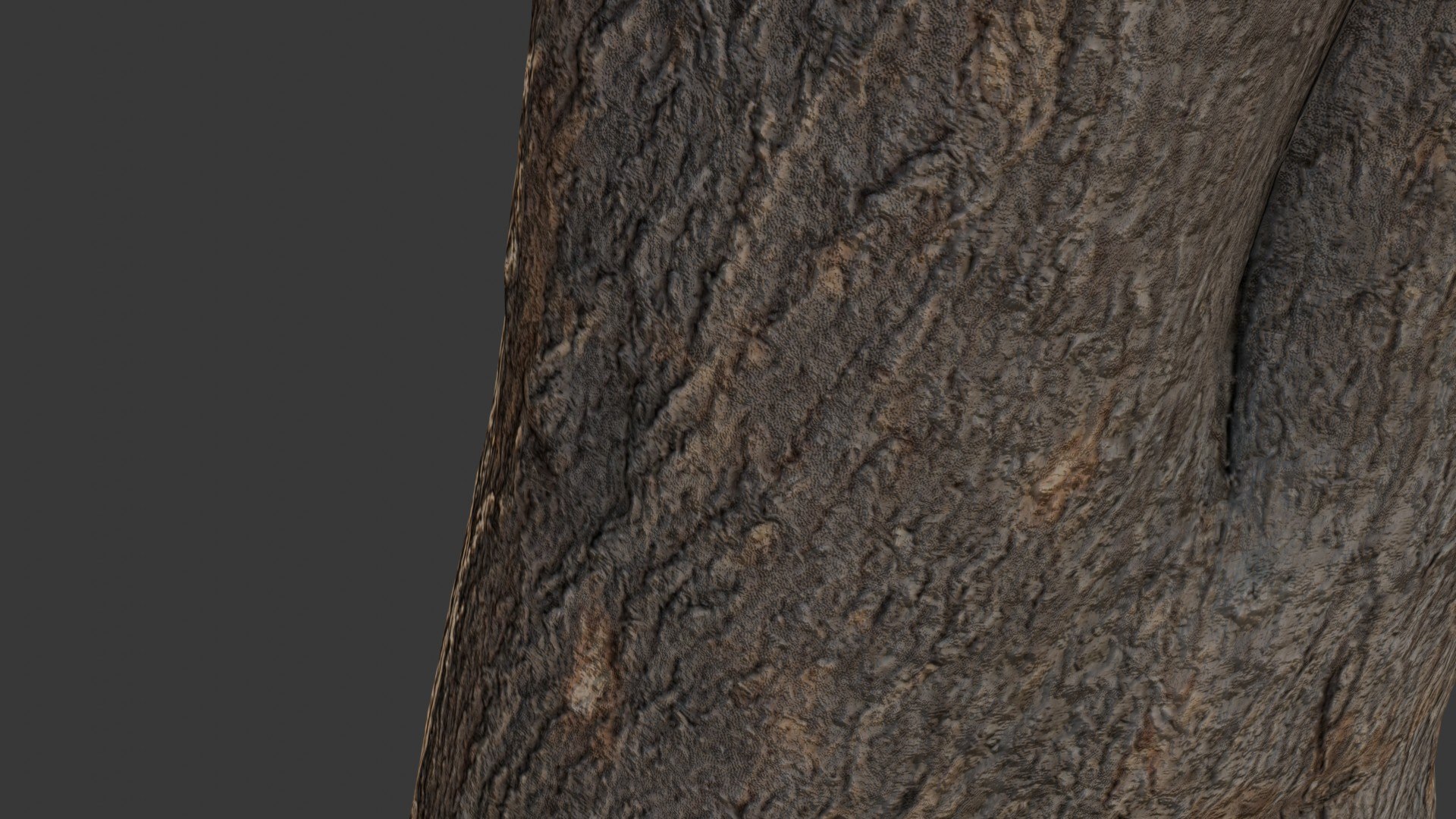 3D Tree Stump Scan Model - TurboSquid 2408340
