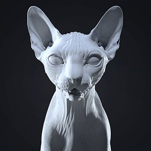 sphynx cat 3D