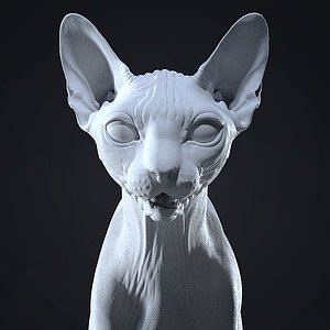 Sphynx Cat Sculpt