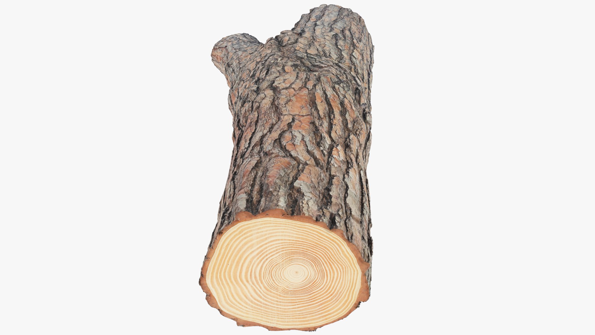 Log V3 model https://p.turbosquid.com/ts-thumb/Ry/kvTfWF/KB/log3_004_011/png/1692059973/1920x1080/fit_q87/1b0893b025b3fa9374d3e763b75717a266b23a18/log3_004_011.jpg