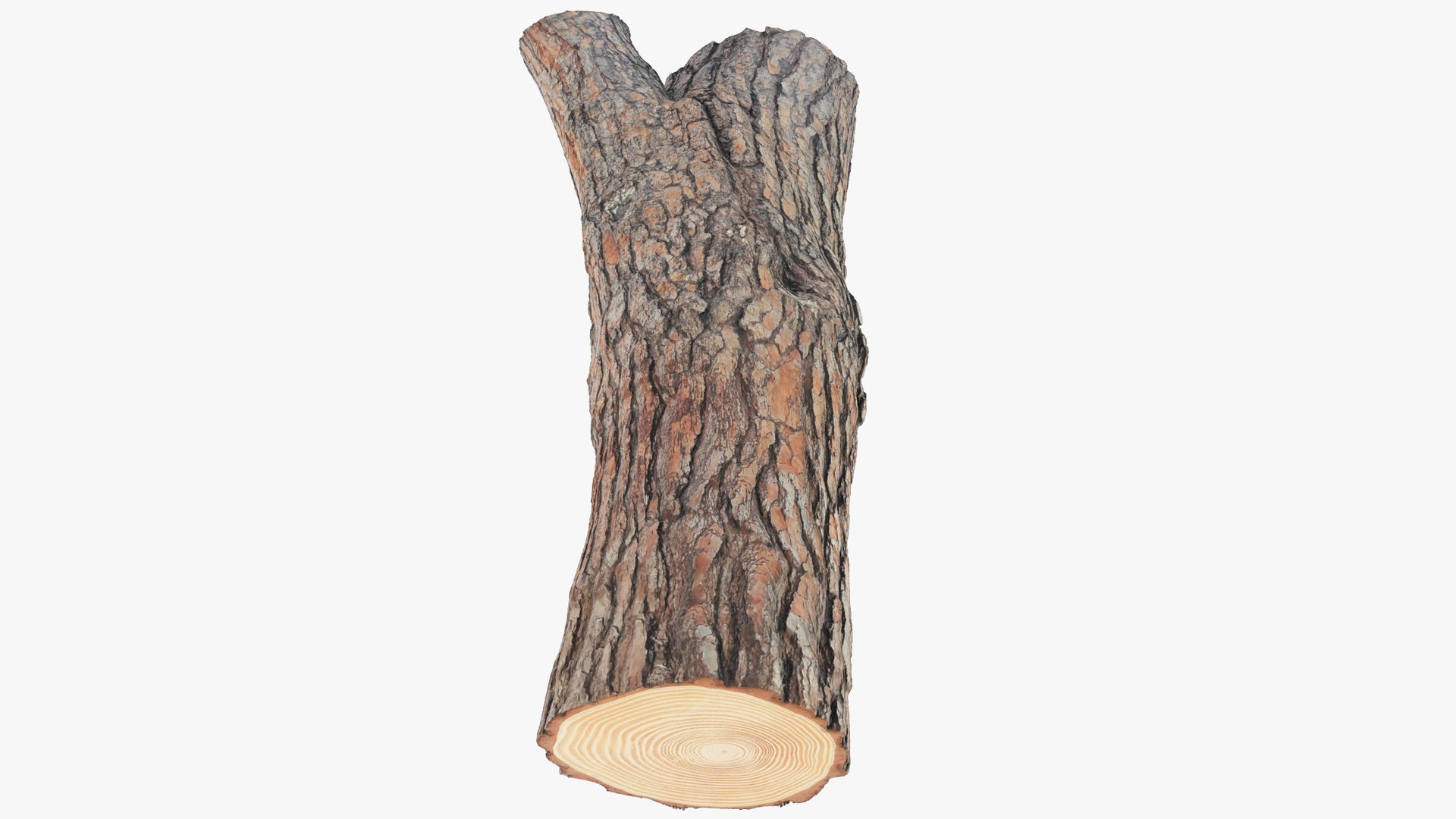Log V3 model https://p.turbosquid.com/ts-thumb/Ry/kvTfWF/Mq/log3_004_010/png/1692059973/1920x1080/fit_q87/3856f7150963538dc60b5617d8245e604a4d8e64/log3_004_010.jpg